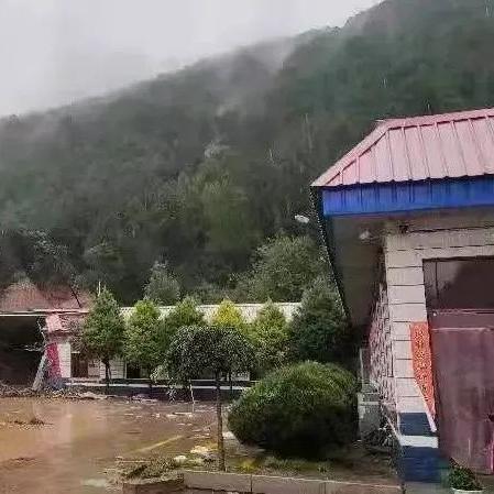 冰清玉洁