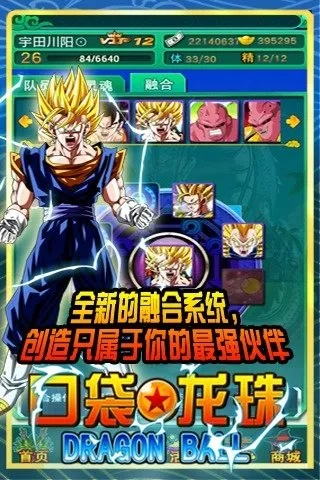 口袋龙珠单机版及中国搜索官方下载新闻,多元化策略执行-增强版1_v2.924